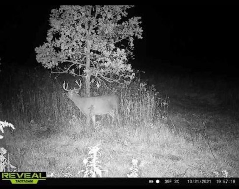 Resized_Screenshot_20240227-114607_Messages