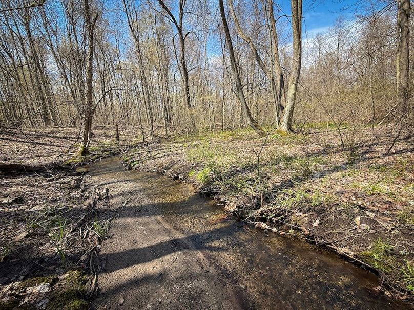 Cayuga_23.5_Demott_photos_6