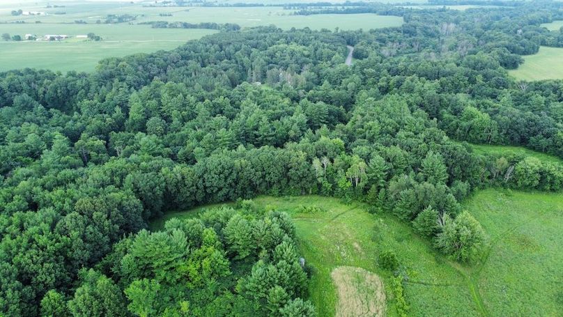 dji_fly_20240715_181906_677_1721085554086_photo_optimized