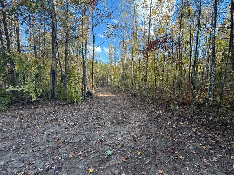 016 nicely opened internal road leading in from the gates to the open cabin area, ready for gravel