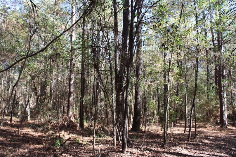 04C4A671-147B-4656-A1DE-829D143EF9AE_1_105_c