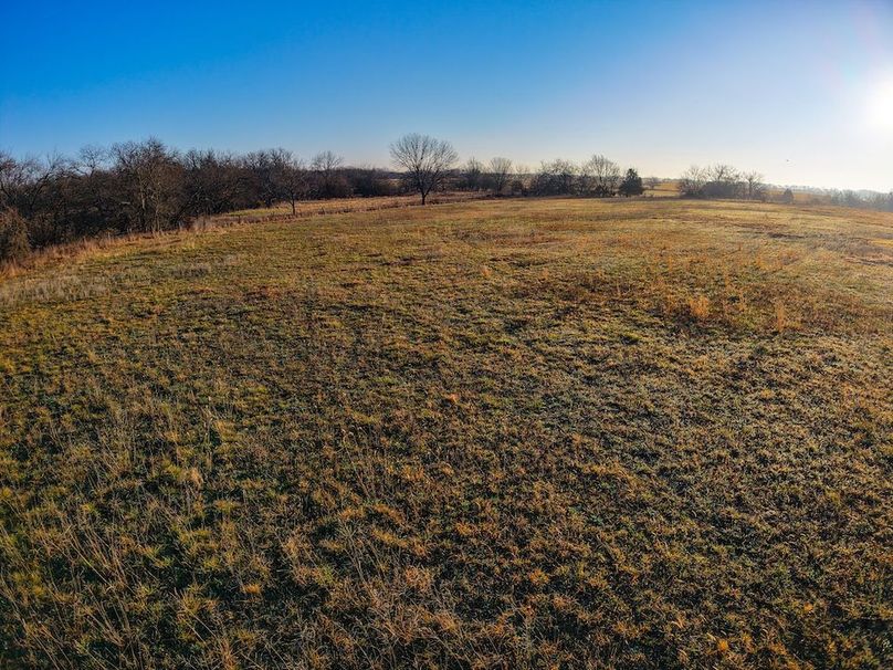 DJI_20260308083037_0131_D