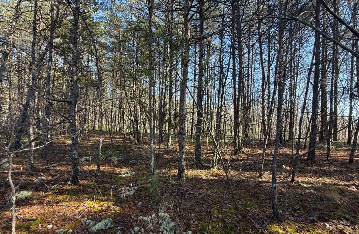 004 some of the abundant flat usable and buildable land in the north part of the property