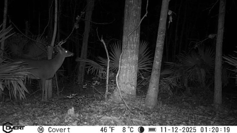 11_12_2025_01_20_19_3249794553