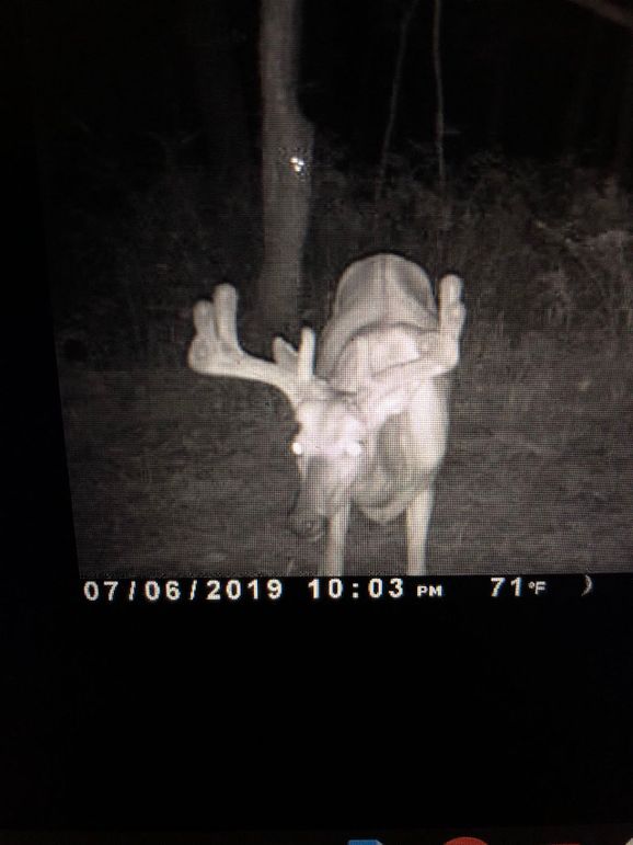 58457764533__31DE040B-EE90-4E9D-AC0F-88DFB86C16D5