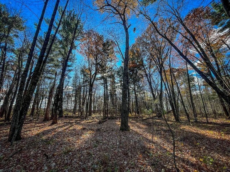 Portage 150.81 JMJK Prop-09