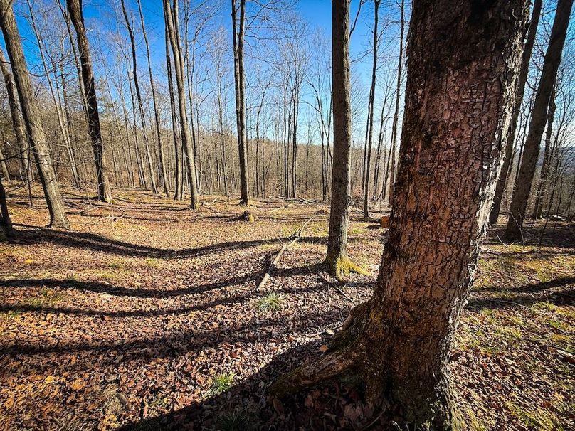 Chemung_31.75_Seymour_South_Photos_17