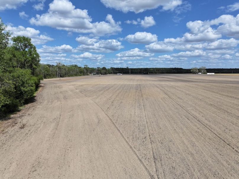 dji_fly_20260315_120906_0530_1775758691026_photo