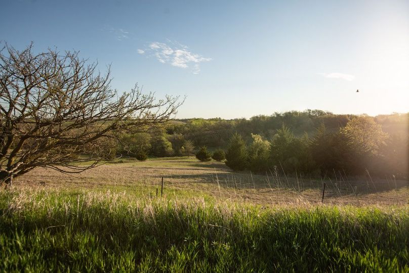 MONTGOMERY CO IA. 156.78_24