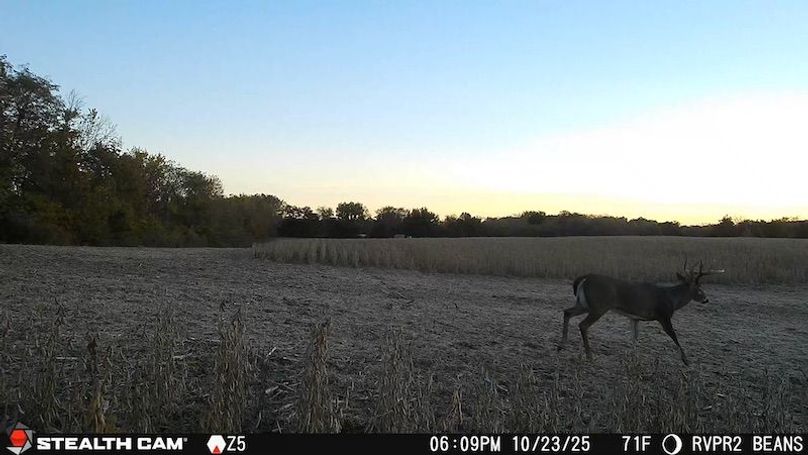 2025102318091501000536_ColorizationType.none