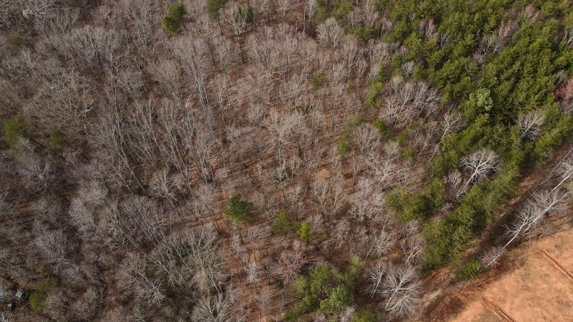 dji_fly_20230220_150502_51_1676923525602_photo