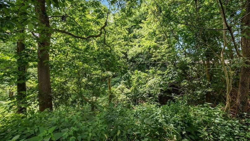 68-z 2076 Mt Vernon132-2