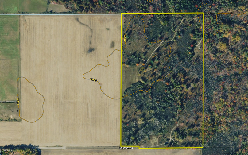 Aerial003_Luther_68.92_Arenac