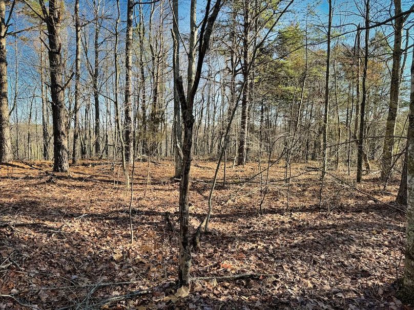 048 more nice ridge top flats