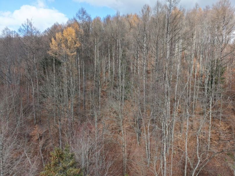 DJI_20251122114403_0035_D