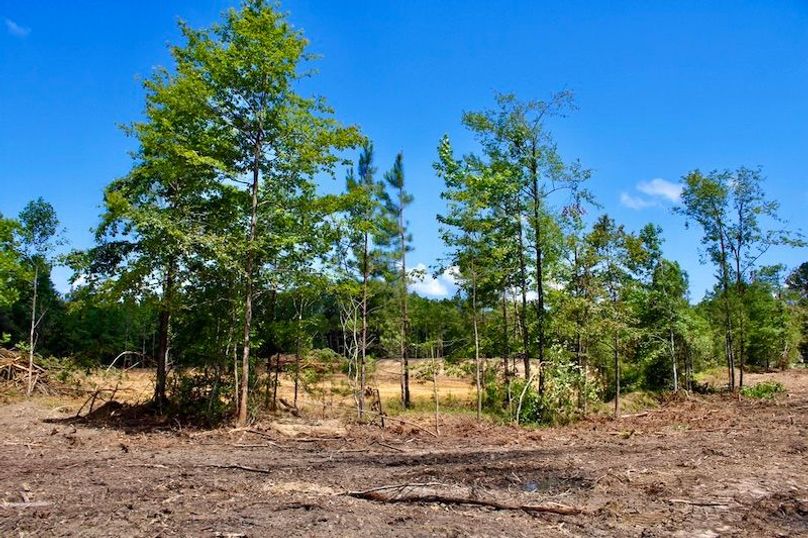 9335122D-6082-4105-B027-49209900EBFA_1_105_c