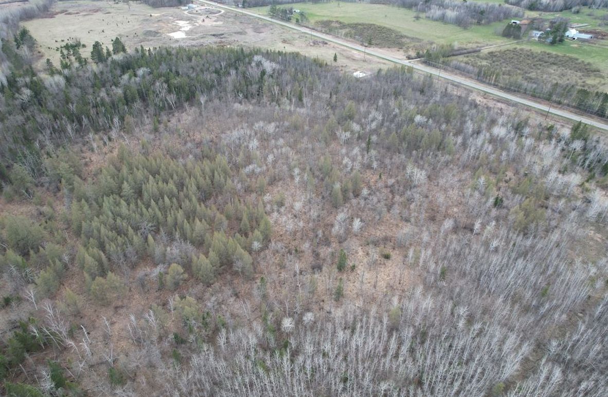 dji_fly_20260509_184758_287_1778370754449_photo