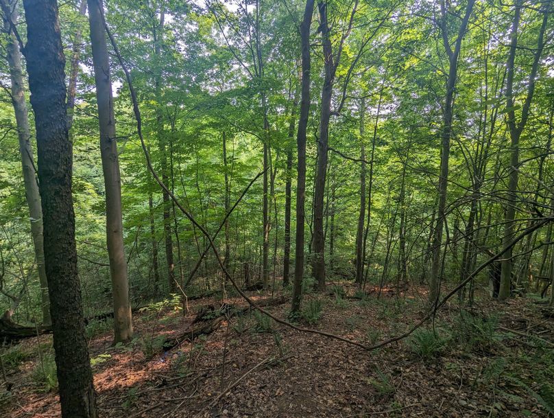 PXL_20230801_152459315