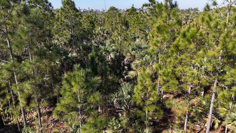 DJI_20250130104245_0364_D