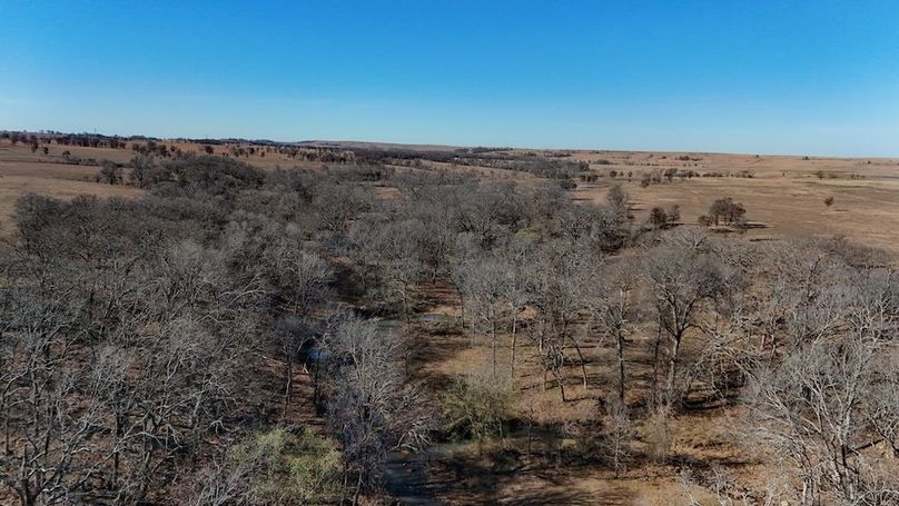 DJI_20250318105838_0053_D