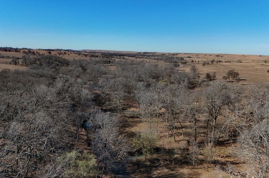 DJI_20250318105838_0053_D