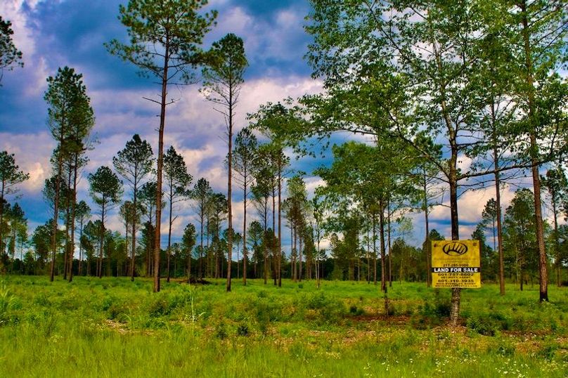 E302B624-CA23-4F38-A64B-28B96B264F0B_1_105_c