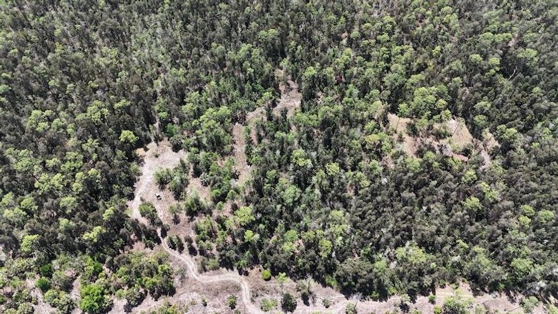 DJI_20260403130330_0477_D