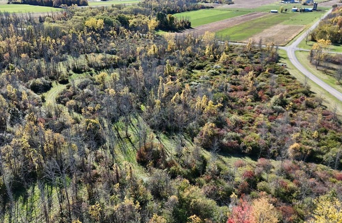 6 DJI_20251017031226_0006_D