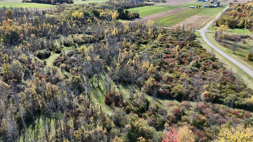 6 DJI_20251017031226_0006_D