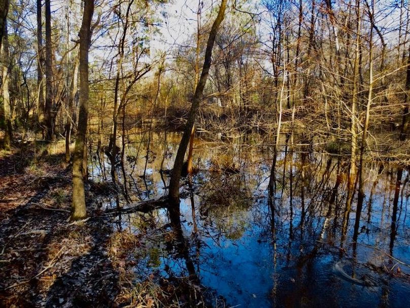 D455B0F0-2D4C-4077-8C55-8010CA477AE8_1_105_c