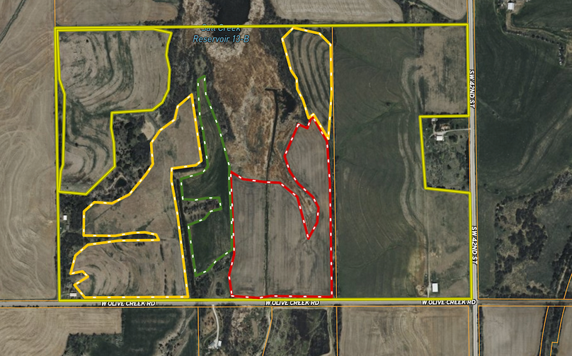 Screenshot 2026-02-18 at 9.22.59 AM