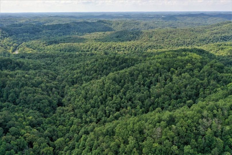 027 aerial shot from the east boundary of the property looking to the west