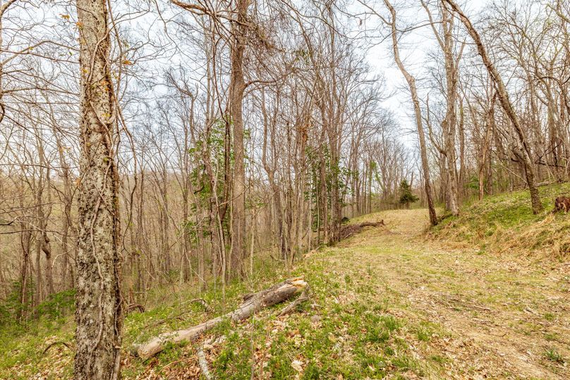 43-web-or-mls-Wolf Hill-21