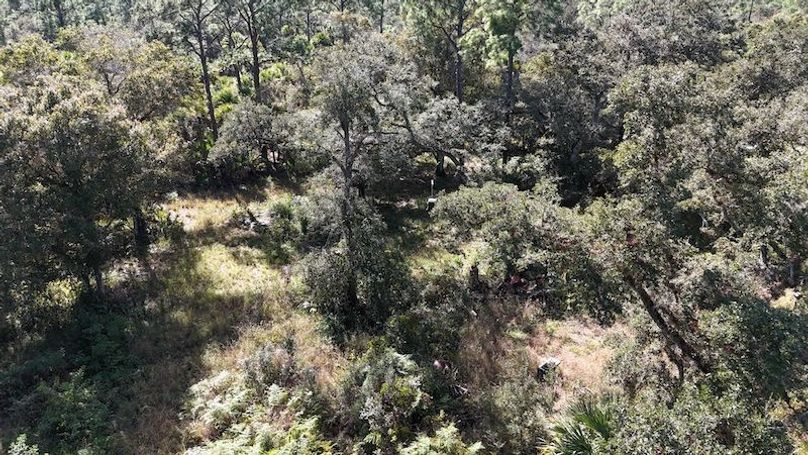 DJI_20251121124244_0023_D