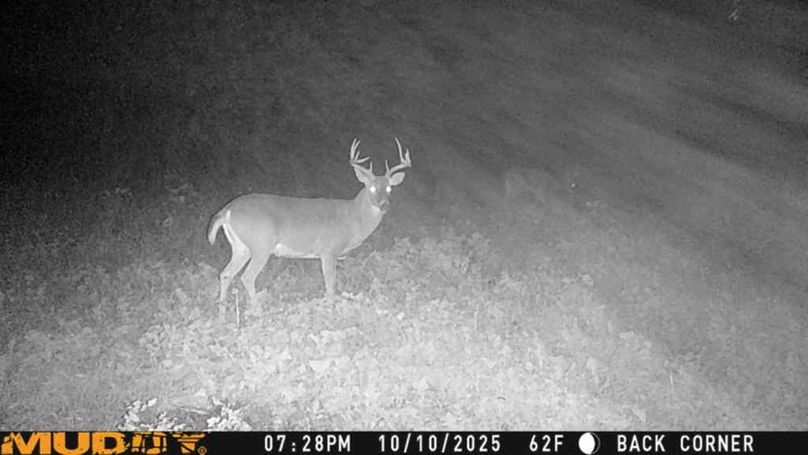 25101019285901004378_ColorizationType.none