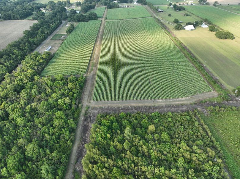 dji_fly_20230801_183906_247_1690975151322_photo