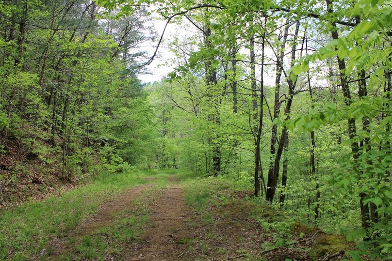 014 nice dirt road structure