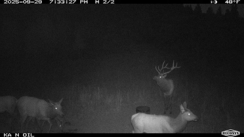 883843CA-DBC3-45E0-9021-026B6E04B1A7