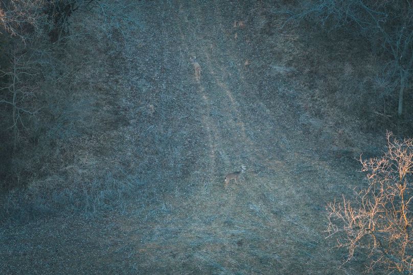 DJI_20260121164722_0485_D