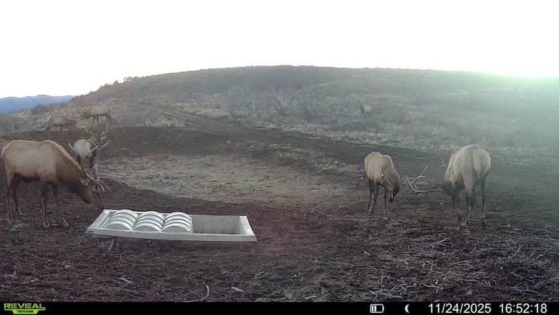 016578003984348-49-2-11242025165218-V-SYFW01811