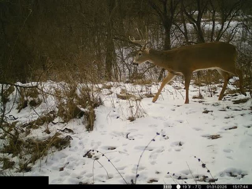 864049054588258-100-4-01312026151801-W1003796