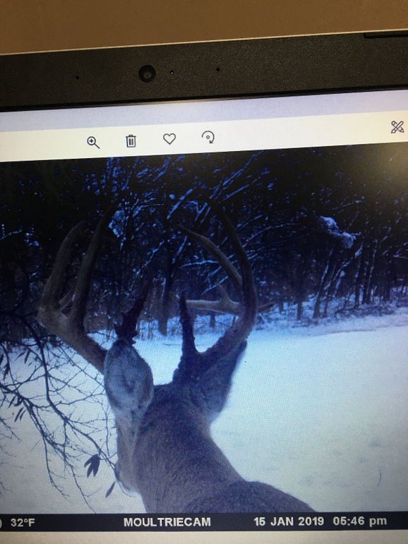 57189232661__4A317C9D-C047-4F57-889F-1C6BDFCA63D4