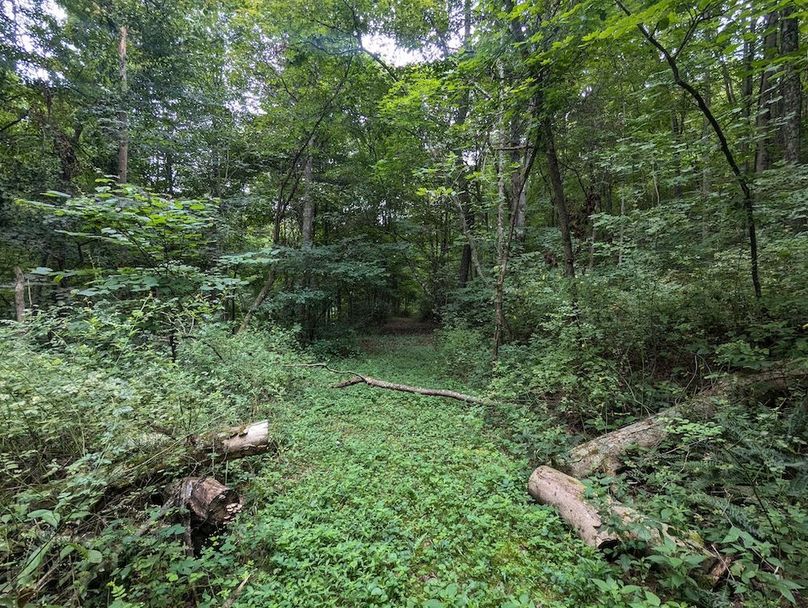 PXL_20240819_145110637