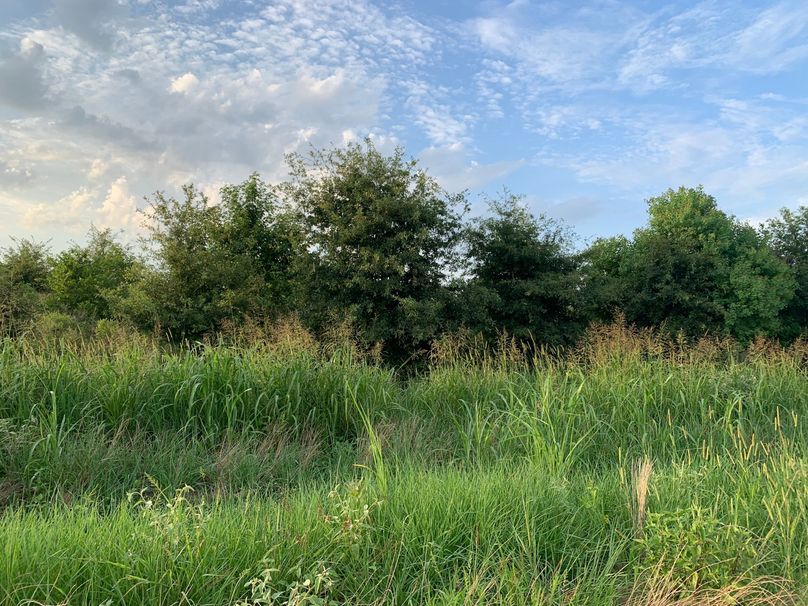 741CB5E3-81B5-4F7A-B7F3-A64777C91EFC_1_102_o