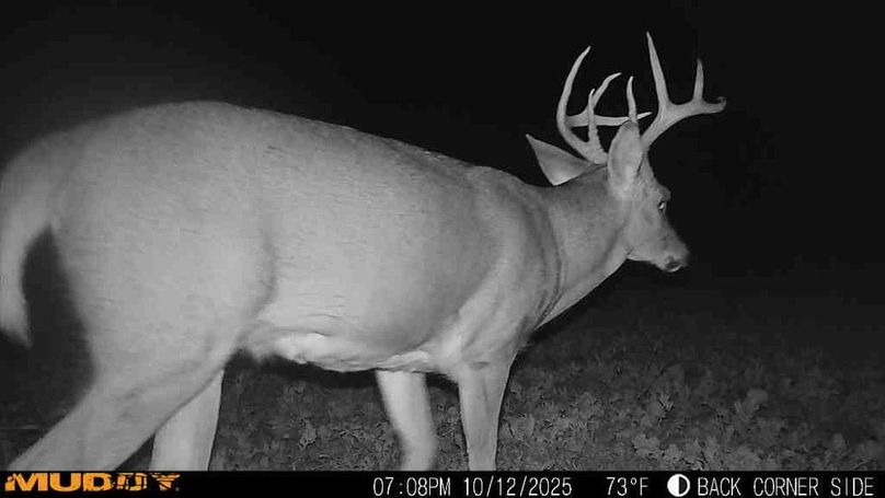 25101219082600000629_ColorizationType.none