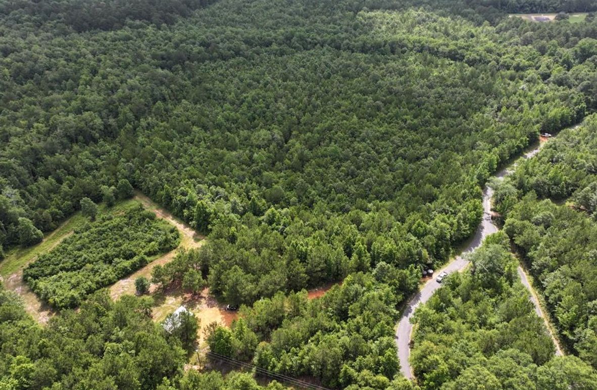 4dji_fly_20250612_101836_0105_1750261384761_photo