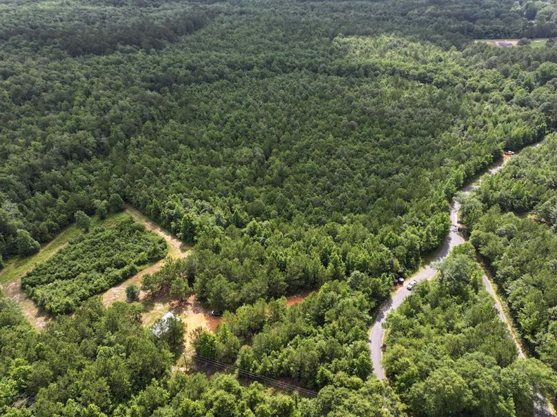 4dji_fly_20250612_101836_0105_1750261384761_photo