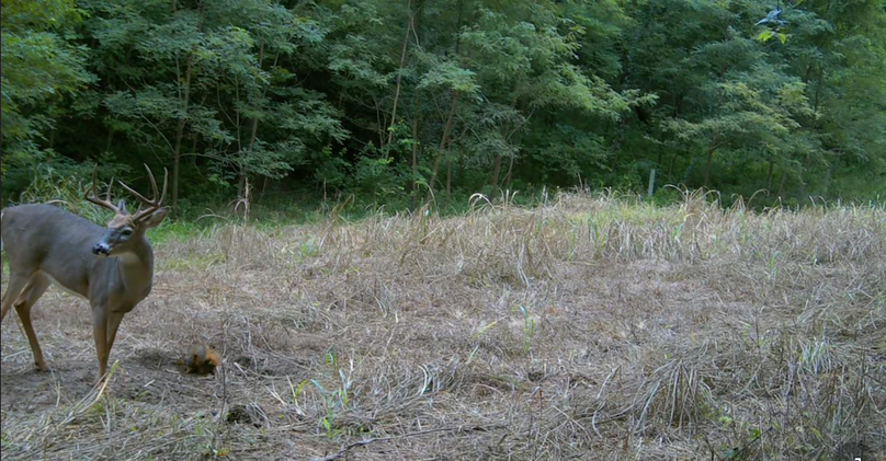 7.3 Copy of Screenshot 2025-09-24 at 2.53.27 PM