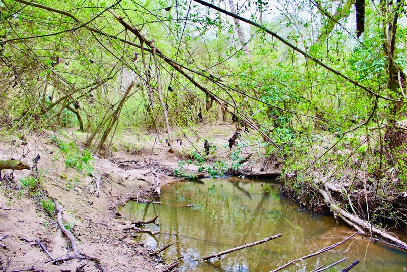 06894320-E167-4B0B-A513-4FD88FAFDFC0_1_105_c