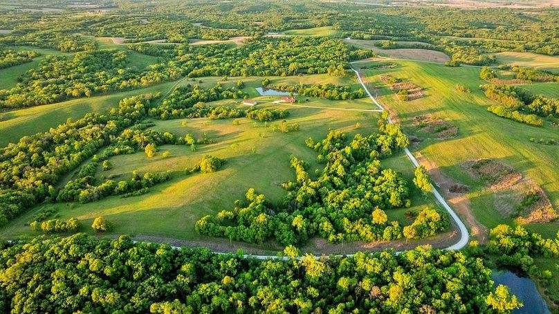Harrison Grand Trace-29